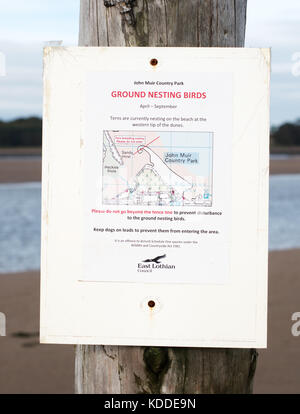 Un avviso in John Muir Country Park, dicendo alle persone di evitare di camminare dove ci sono la massa uccelli nidificanti, Dunbar, Scozia Foto Stock