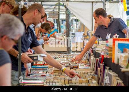 Dordrecht, Paesi Bassi - 7 luglio 2013: la scelta e cercando di seconda mano libri presso il libro annuale mercato detenuto nel centro di Dordrecht. Il mercato Foto Stock