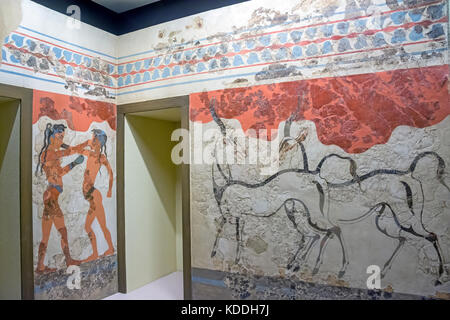 Akrotiri affreschi murali di ragazzi di boxing e antelolpe Atene Museo Archeologico Nazionale display