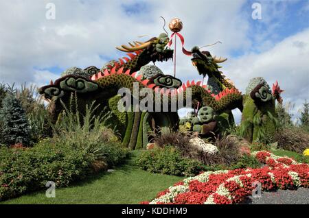 Mosaicanada 150 è l'evento orticola per onorare il centocinquantesimo anniversario del Canada si trova in Jacques Cartier park, Gatineau, Quebec, Canada. Foto Stock