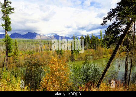 Il fiume Flathead che fluisce attraverso un bosco rado nel Glacier National Park con le montagne in distanza. Foto Stock