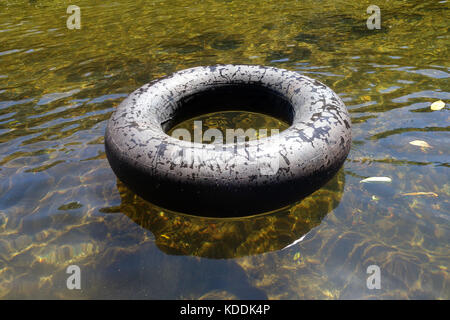 Tubo interno galleggiante sul Fiume Mulgrave, Goldsborough Valley, vicino a Cairns, Queensland, Australia Foto Stock