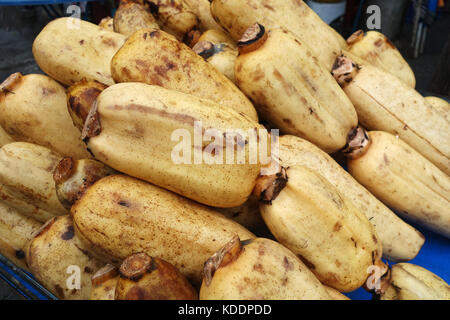 Fresh lotus root o acqua giglio radice nel mercato della Thailandia Foto Stock