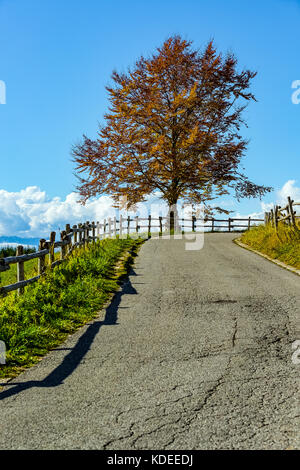 Italia Veneto Cansiglio -alpago - Col Indes Foto Stock