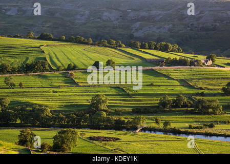 Striscia medievale sistema per aratura rivelato dalla luce solare bassa sui campi nei pressi di Reeth in Swaledale, Yorkshire Dales, Inghilterra. Foto Stock