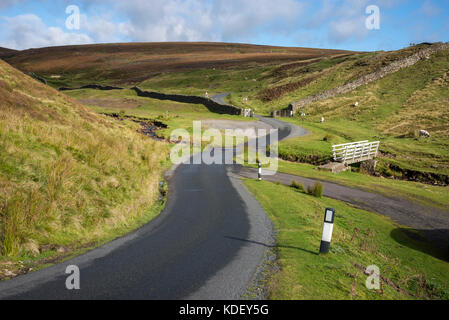 Ford a ribalta Gill Gat, Reeth in Swaledale, North Yorkshire. Una posizione utilizzata nel titolo di apertura degli anni settanta serie tv "tutte le creature grandi e piccole' Foto Stock