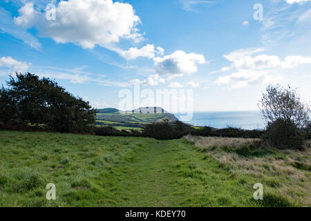Lungo la costa sud occidentale il percorso nei pressi di Stonebarrow Hill, guardando verso il Golden Cap, Dorset, Regno Unito Foto Stock