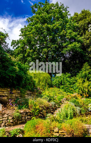 Il giardino alpino nascosto nel Jardin des plantes a Parigi, Francia Foto Stock