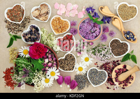 Erbe officinali e fiori utilizzati in medicina di erbe, omeopatici e rimedi aromaterapia sulla canapa sfondo della carta. vista dall'alto. Foto Stock