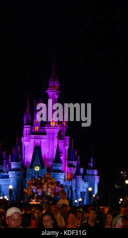 Cenerentola il castello illuminato di notte tempo nel Magic Kingdom, Disney World, Florida, Stati Uniti d'America Foto Stock