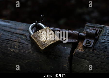 Gocce di pioggia su un lucchetto e un bullone di fissaggio di un cancello di legno. Foto Stock