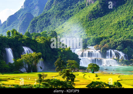 Royalty immagine libera di alta qualità veduta aerea della cascata “ Ban Gioc ”, Cao Bang, Vietnam. La cascata di Ban Gioc è una delle 10 cascate più importanti Foto Stock