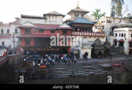 Tempio di Pashupatinath, Kathmandu, Nepal Foto Stock