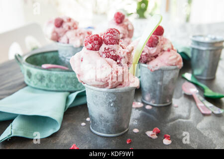 In casa gelato al lampone in piccoli bicchieri di stagno Foto Stock