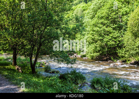 Il fiume Lyn (Est) lungo il percorso verso Watersmeet vicino Lynmouth, North Devon, Inghilterra, Regno Unito Foto Stock