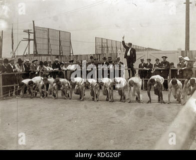 Giochi Olimpici inizio dei 400 metri di gara al 1904 Olimpiadi Foto Stock
