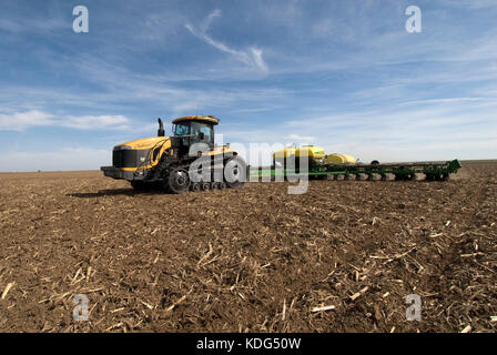 Cat trattore Challenger piantagione cotone con un john deere 24 la piantatrice a file nella stoppia mais Foto Stock