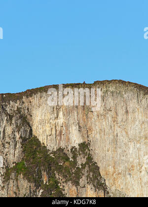 Gli escursionisti in cima Slieve League scogliere scogliere marine più elevate in Europa a 609m 1,998 piedi sul selvaggio modo Atlantico County Donegal Irlanda Foto Stock