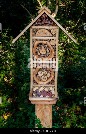 Casella di insetto Bug house Foto Stock