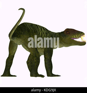 Doliosauriscus coda di dinosauro - Doliosauriscus è un genere estinto di therapsid dinosauro carnivoro che viveva in Russia nel periodo Permiano. Foto Stock