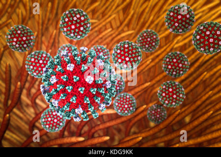 I virus influenzali. Immagine concettuale di virus influenzali (rosso) nelle vie respiratorie. Le particelle di virus non sono alla stessa scala come il polmone cilia (marrone). Ogni virus consiste di un nucleo di RNA (acido ribonucleico) materiale genetico circondato da un rivestimento proteico (rosso). Incorporato nel rivestimento sono proteine di superficie (picchi). Ci sono due tipi di superficie, proteina emoagglutinina (blu) e neuraminidasi (luce viola), e ciascuna esiste in diversi sottotipi. Entrambe le proteine di superficie sono associati con la patogenicità del virus. Con emoagglutinina si lega a cellule ospite, permettendo al virus di inserirli e replicare. Foto Stock