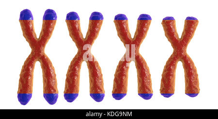 Telomere accorciamento, illustrazione concettuale. Telomeres accorciare con l'età, con ogni divisione cellulare e durante i diversi processi patologici. Foto Stock