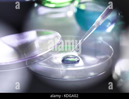 Pipetta aggiungendo una soluzione di un campione durante un esperimento in laboratorio. Foto Stock