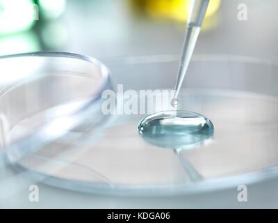 Pipetta aggiungendo una soluzione di un campione durante un esperimento in laboratorio. Foto Stock