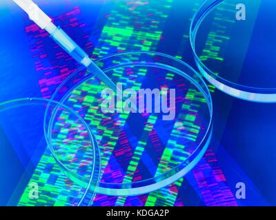 Pipetta aggiungere un campione in una capsula di petri con un gel di DNA in background. Foto Stock