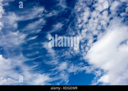 Cirrus Mare di coda alta nuvole bianche nel blu cielo australiano indicano un cambiamento del tempo in pochi giorni. Foto Stock