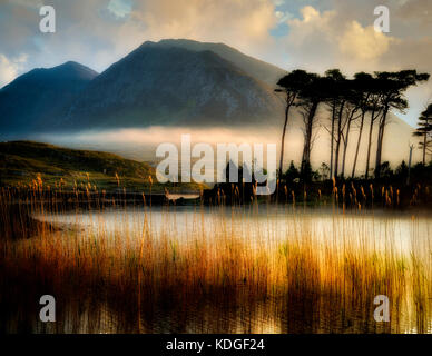 Alba sul lago/lago Derryclare con alcune delle 12 montagne del Ben e canne di bordo. Contea di Galway, Connemara, Irlanda Foto Stock