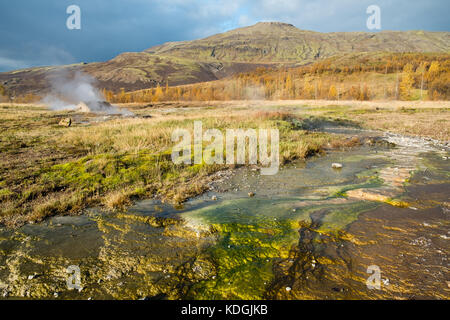 La zona di geysir haukadalur in Islanda girato in autunno, il vapore proveniente da terra con coloroful depositi minerali in primo piano Foto Stock