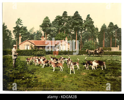 Royal Staff College, trascinare hounds, Camberley, Inghilterra LCCN2002696443 Foto Stock