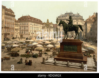 Market Place, Vienna, Austro Ungheria LCCN2002708398 Foto Stock