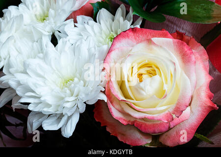 Bellissimo bouquet festivo dal colore con rosa e bianco crisantemo Foto Stock