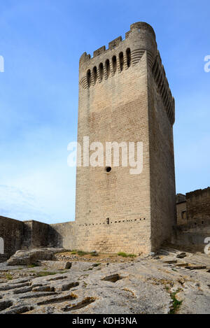 Torre medievale di Abate Pons de l'Orme (c 11) & Tombe Rock-Cut o Cimitero, Abbazia di Montmajour, vicino a Arles, Provenza Francia Foto Stock