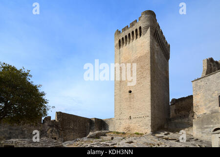 Torre medievale di Abate Pons de l'Orme (c lac) Abbazia di Montmajour, vicino Arles, Provenza Francia Foto Stock