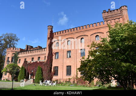 Castello conosciuto come il re Jan III Sobieski castello. Il neo-gotico di architettura. Foto Stock