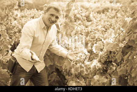 Ritratto di lieto uomo nei pressi di uve in vigna in estate Foto Stock