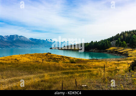 Pukaki, canterbury • Nuova Zelanda due grandi laghi di origine glaciale si trovano nella parte centrale delle Alpi del Sud: pūkaki (LEF Foto Stock