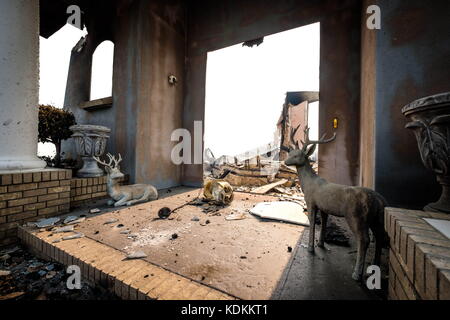 Santa Rosa, California, Stati Uniti. 10 ottobre 2017. I cervi di pietra osservano il portico bruciato di questa casa di Santa Rosa, California, dopo che questa settimana si sono spostati nella regione incendi mortali. Crediti: Peter Thoshinsky/ZUMA Wire/Alamy Live News Foto Stock