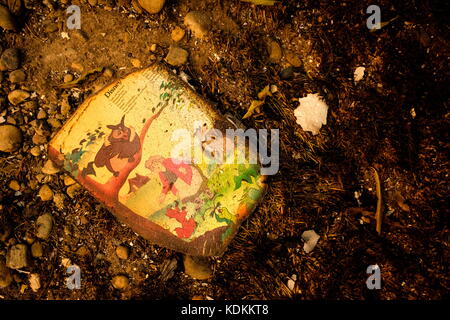 Santa Rosa, California, Stati Uniti. 9 ottobre 2017. Un libro bruciato per bambini si trova tra i derby dopo gli incendi mortali che si sono spostati nella regione questa settimana. Crediti: Peter Thoshinsky/ZUMA Wire/Alamy Live News Foto Stock