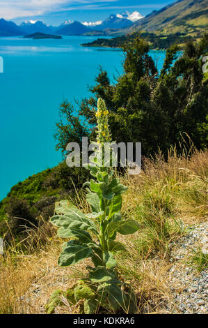 Montare creighton, otago • Nuova Zelanda Foto Stock