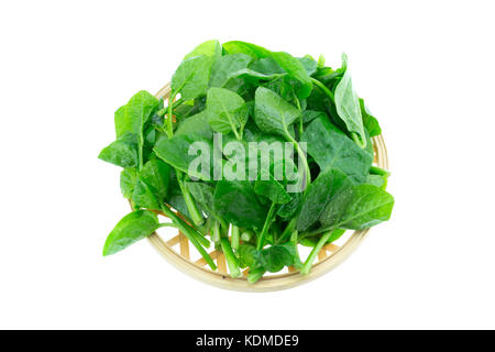 Basella alba malabar spinaci isolati su sfondo bianco Foto Stock