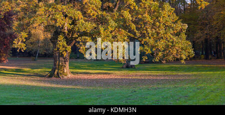 Parco maksimir in autunno,CROAZIA Foto Stock