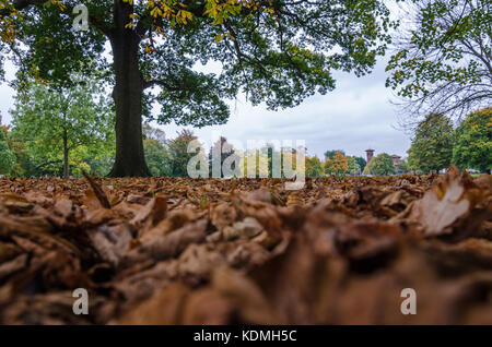 Figliata di foglia che giace a terra a Prospect Park, la lettura. Foto Stock