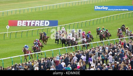 Trattenere cavalcato da silvestre de Sousa conduce la casa di campo per vincere il betfred handicap cesarewitch stakes gara corsa durante il giorno due del futuro di Dubai champions festival a newmarket racecourse, Newmarket. Foto Stock