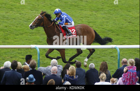 Il ritiro guidato da Silvestre De Sousa conduce il campo di casa per vincere la Betfred Cesarewitch Handicap Stakes Race nel secondo giorno del Dubai Future Champions Festival presso l'ippodromo di Newmarket, Newmarket. Foto Stock