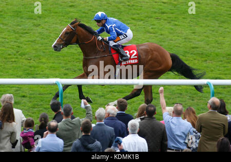 Il ritiro guidato da Silvestre De Sousa conduce il campo di casa per vincere la Betfred Cesarewitch Handicap Stakes Race nel secondo giorno del Dubai Future Champions Festival presso l'ippodromo di Newmarket, Newmarket. Foto Stock