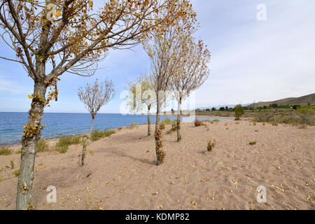 Regione di Issyk-Kul, Karakichi, Lago Sonkel, Kirghizistan Foto Stock